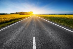 empty asphalt road and floral field of yellow flowers. summer (s